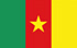 TGM Undersøgelser for at tjene penge i Cameroun