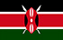 TGM Panel Tjen Penge i Kenya