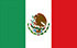 TGM Fast National Panel Research Services i Mexico